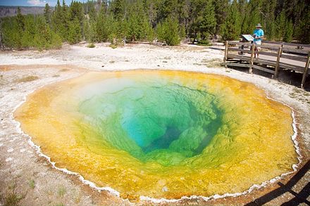 440px-Morning Glory Pool Yellowstone National Park