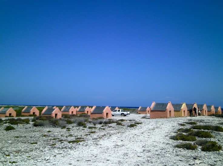 PICT0070